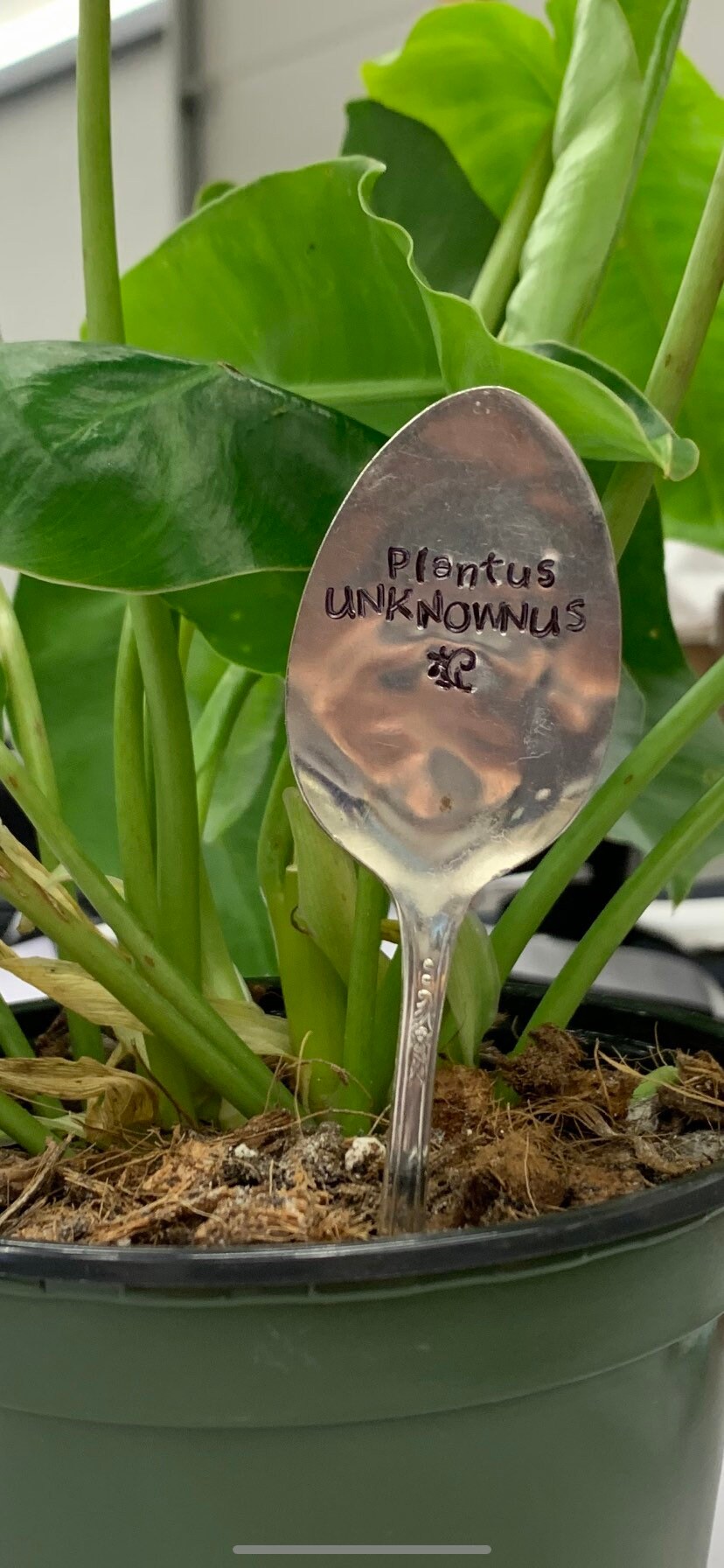 Plant Signs out of Vintage Silverware