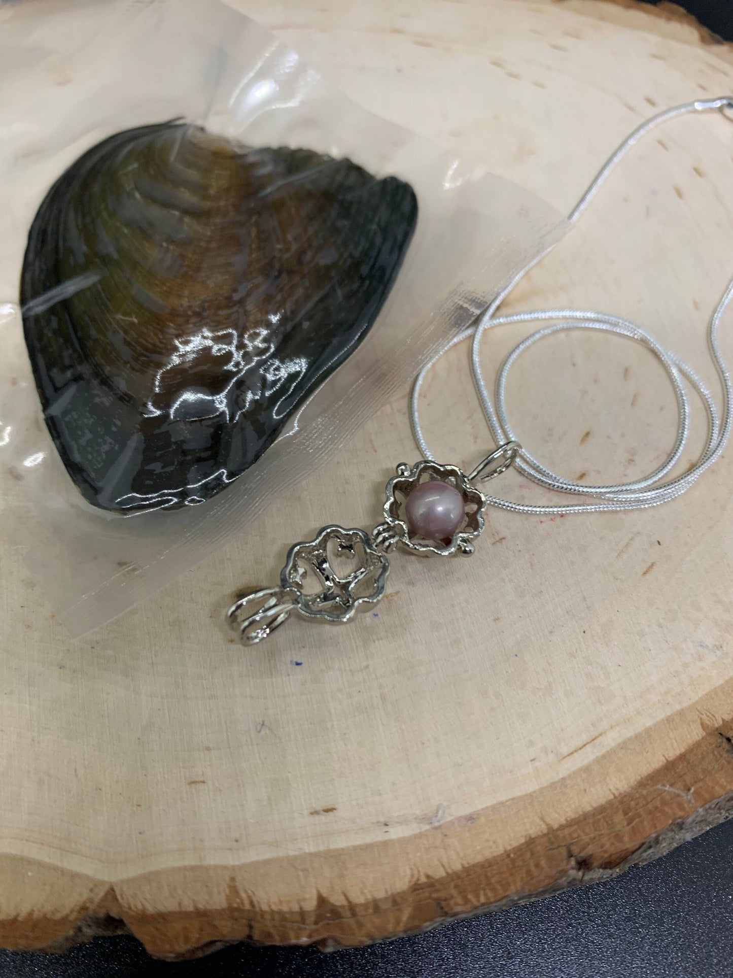 Oysters Containing Freshwater Genuine Pearl