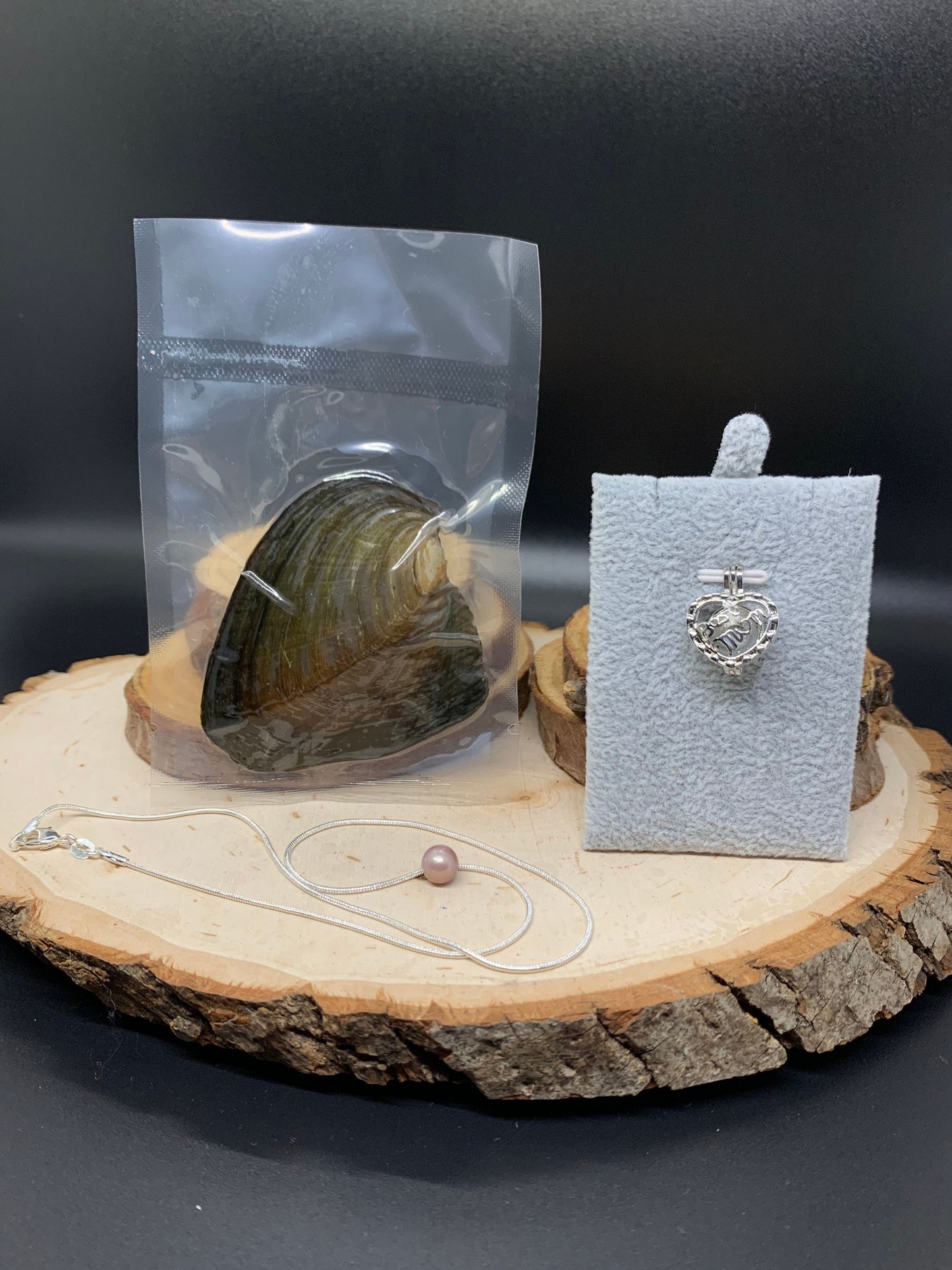 Oysters Containing Freshwater Genuine Pearl