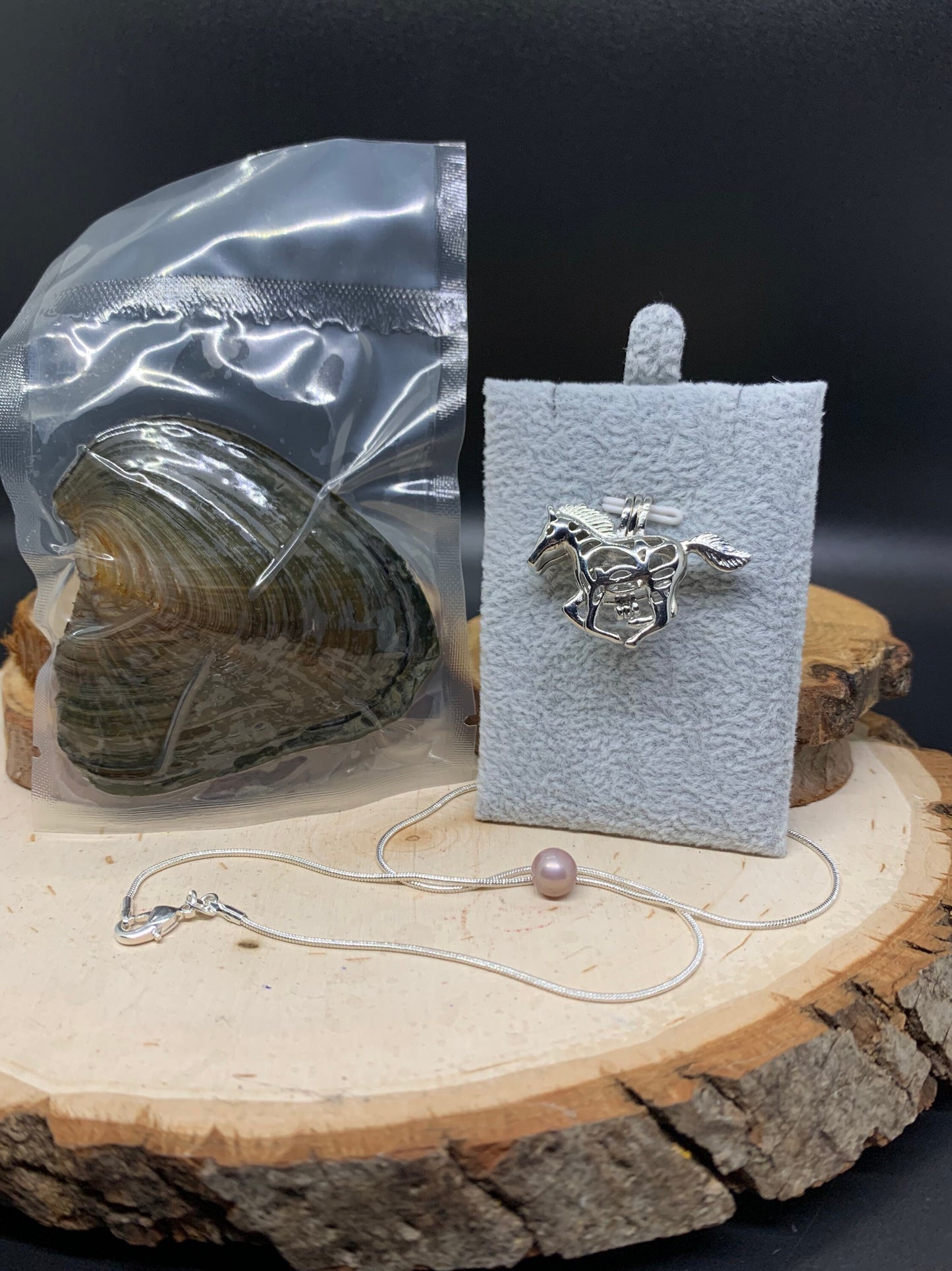 Oysters Containing Freshwater Genuine Pearl