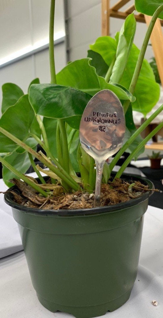 Plant Signs out of Vintage Silverware