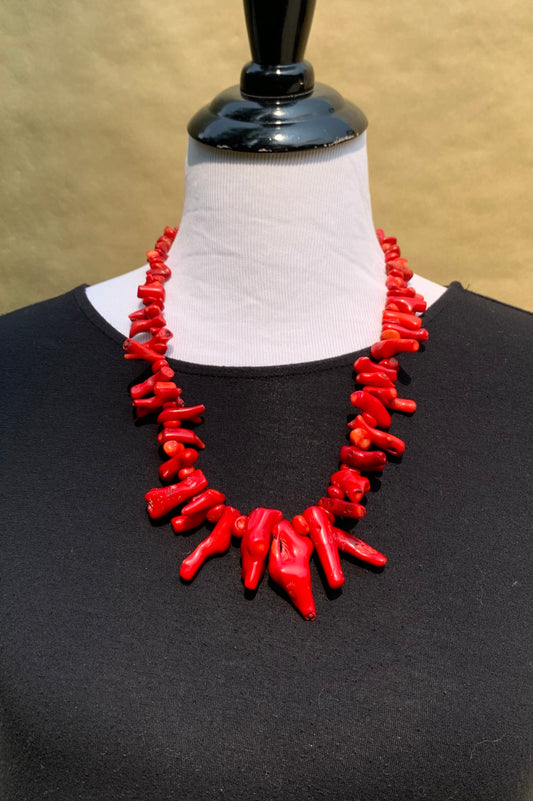 Coral Keeper Necklace