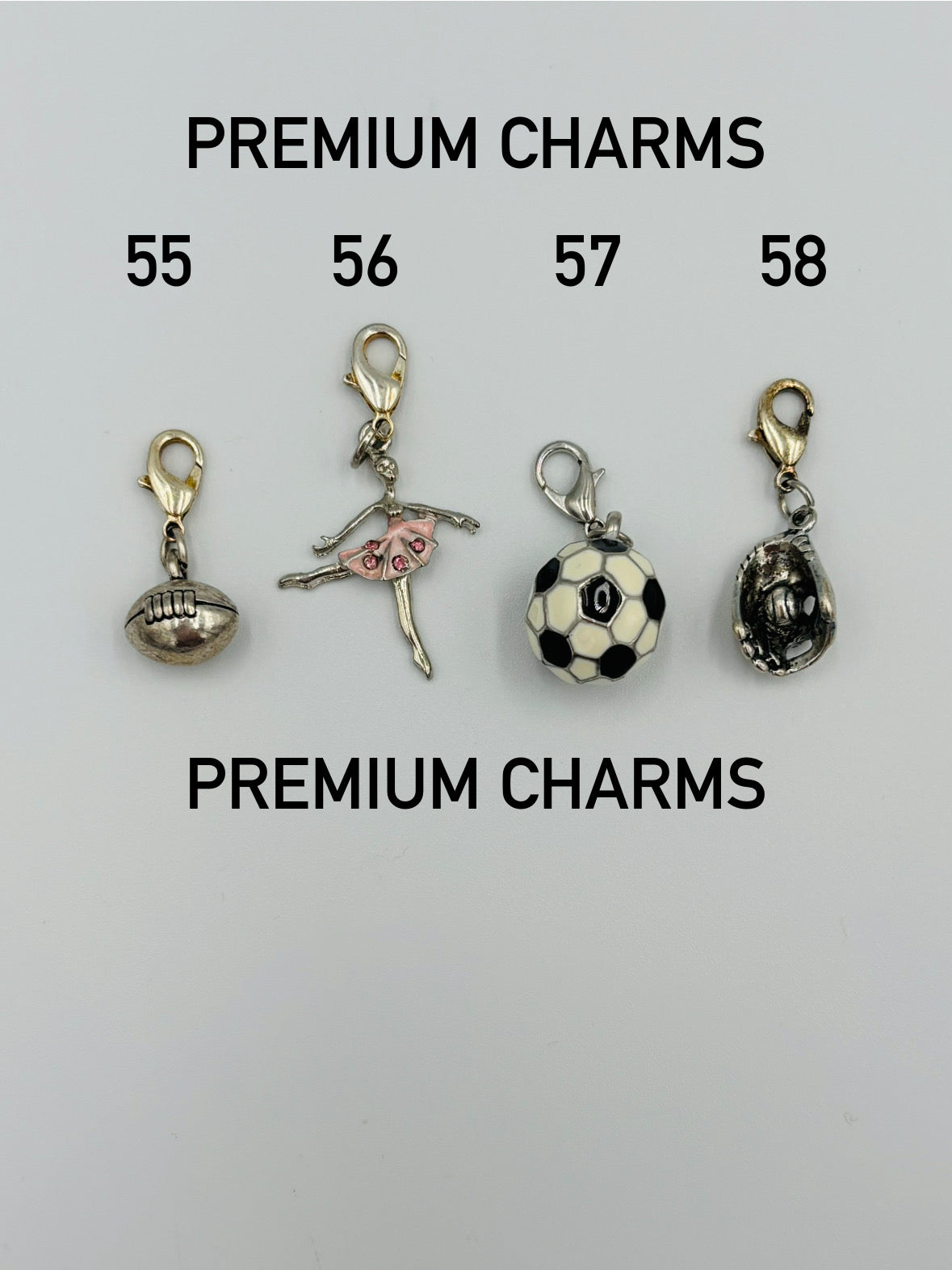 Premium Charms